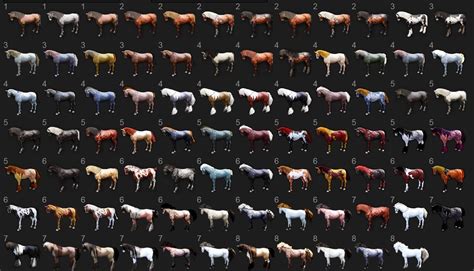black desert online horse colors.